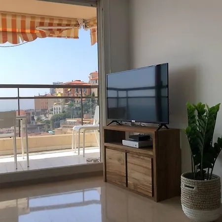 Monaco Place Des Moulins A Pied, 2 Pieces Vue Mer